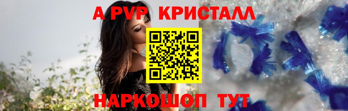 Альфа ПВП  APVP СК  Биробиджан  Вход с VPN  А ПВП крисы CK  Alfa_PVP СК 