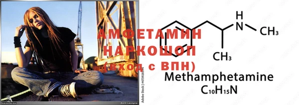 молекула духа Няндома
