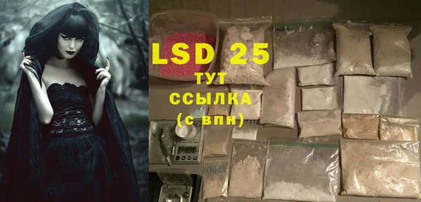 сатива Болотное