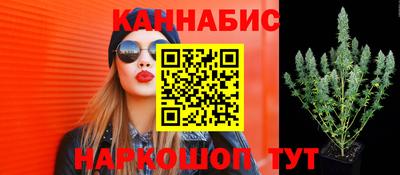прущая мука Дубна