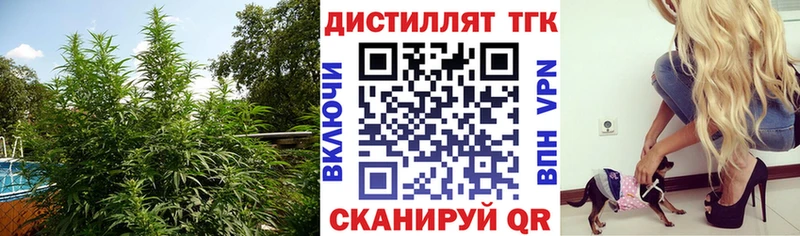 Дистиллят ТГК гашишное масло купить Биробиджан