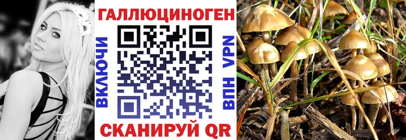 Галлюциногенные грибы Psilocybe  Биробиджан 